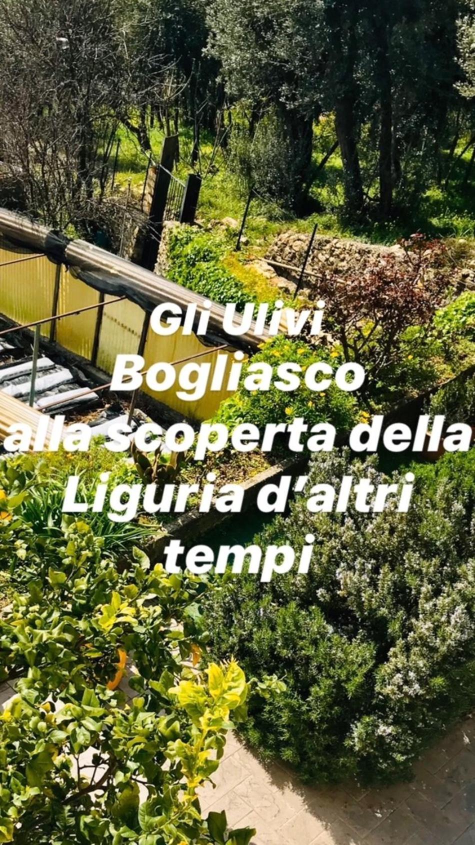 Cav Gli Ulivi Di Bogliasco Villa Exterior foto