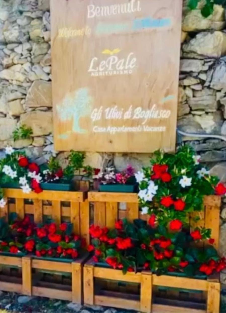 Cav Gli Ulivi Di Bogliasco Parcheggio Privato Gratuito Villa Exterior foto