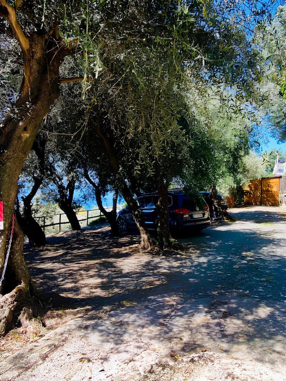 Cav Gli Ulivi Di Bogliasco Villa Exterior foto