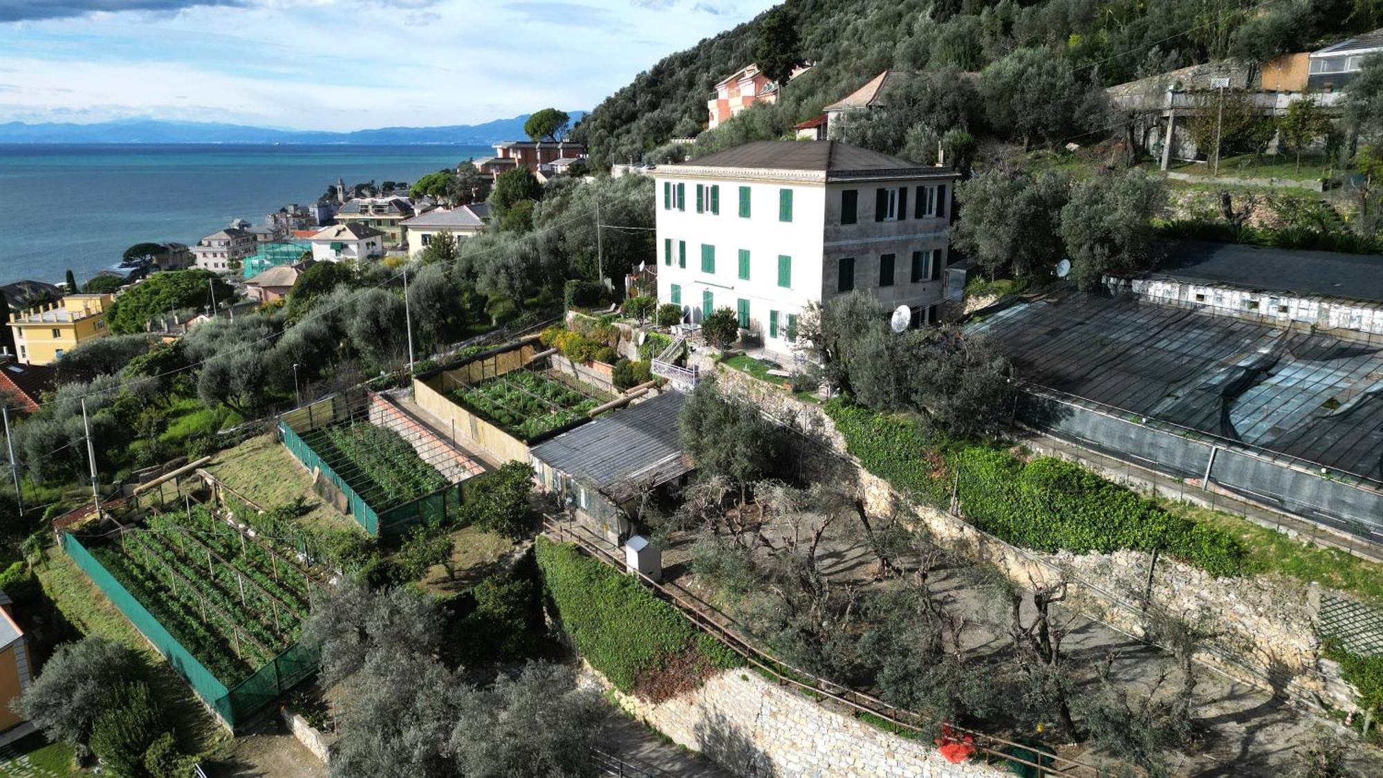 Cav Gli Ulivi Di Bogliasco Villa Exterior foto