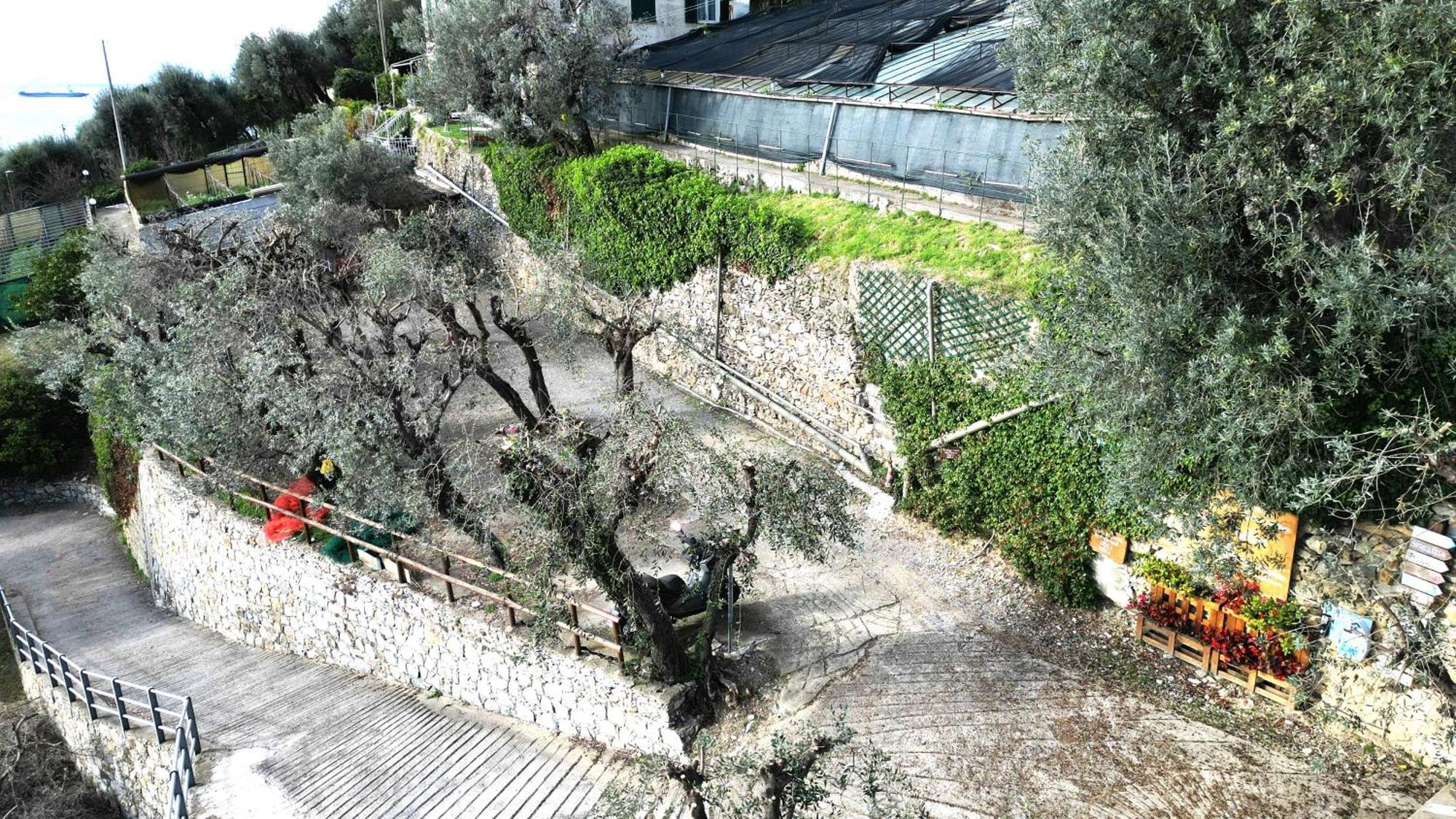 Cav Gli Ulivi Di Bogliasco Villa Exterior foto