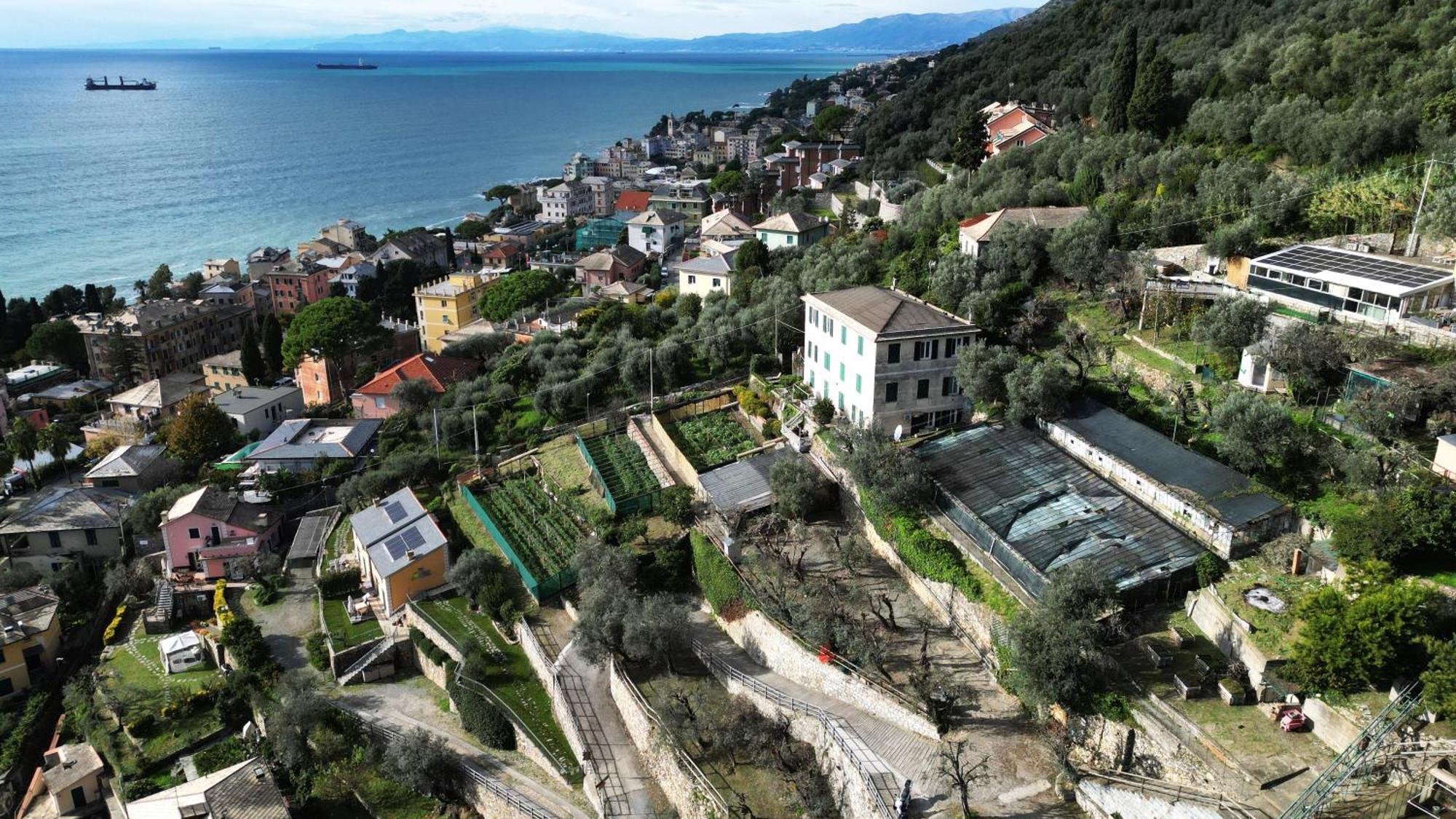 Cav Gli Ulivi Di Bogliasco Villa Exterior foto